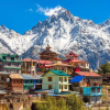 Top-rated Movers and Packers in Shimla Near Me
