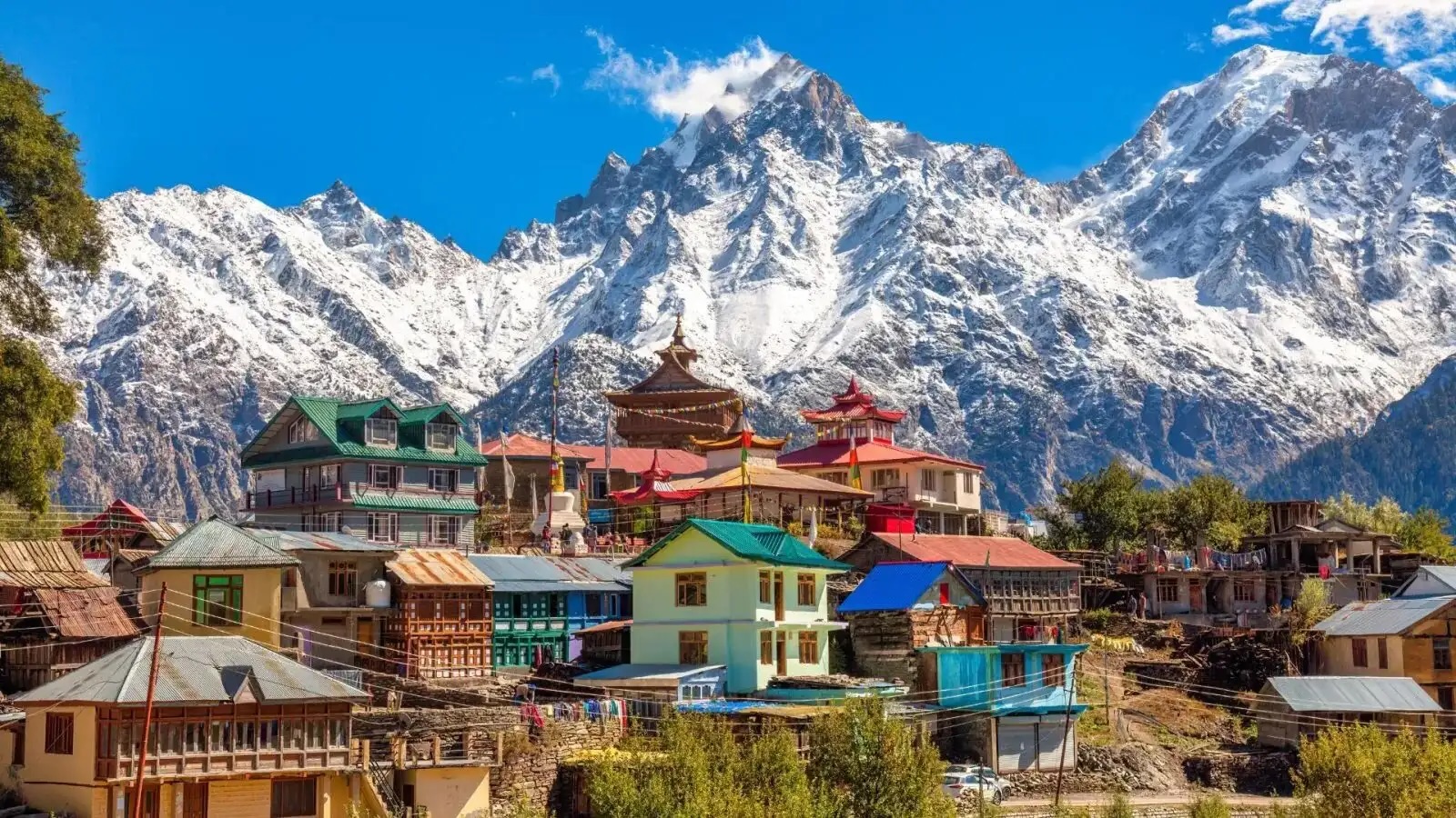 Top-rated Movers and Packers in Shimla Near Me