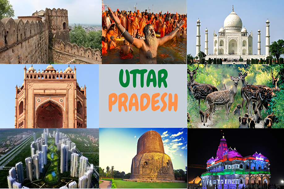 Top-rated Movers and Packers in Agra Near Me