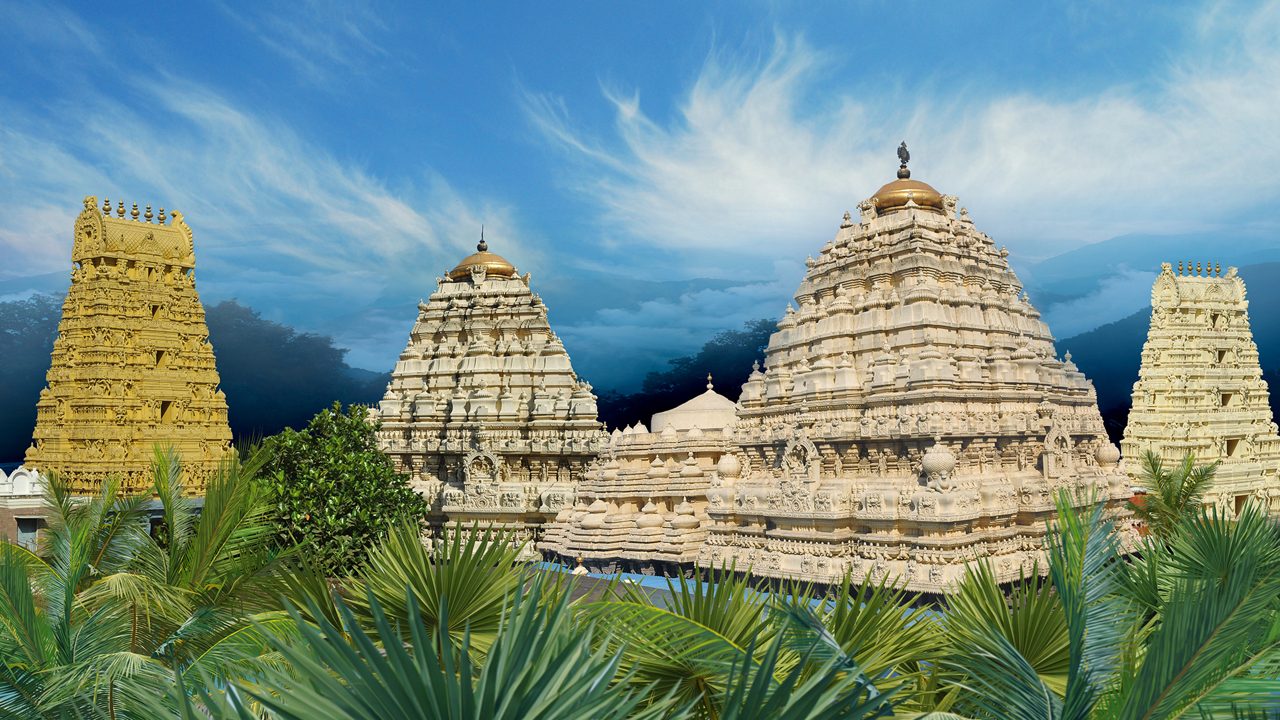 Top-rated Movers and Packers in Warangal Near Me